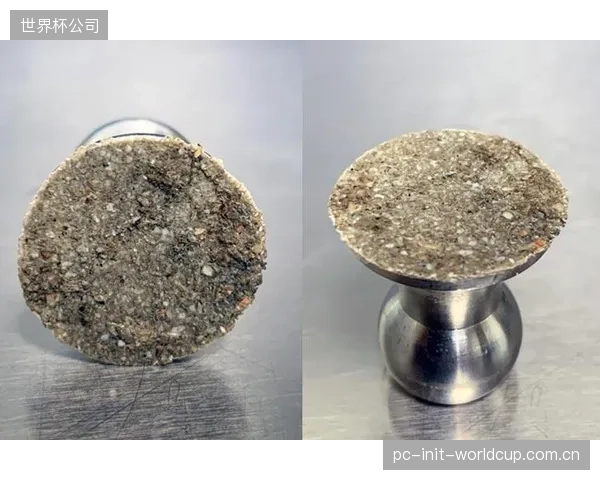 全球顶级赛事对场地硬件要求趋同，ASTMD4541拉拔试验等标准正成为国际赛道建设的通用语言
